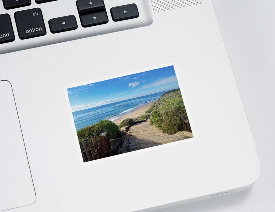Crystal Cove Sticker featuring the photograph Stairway Path Down to the Beach by Matthew DeGrushe