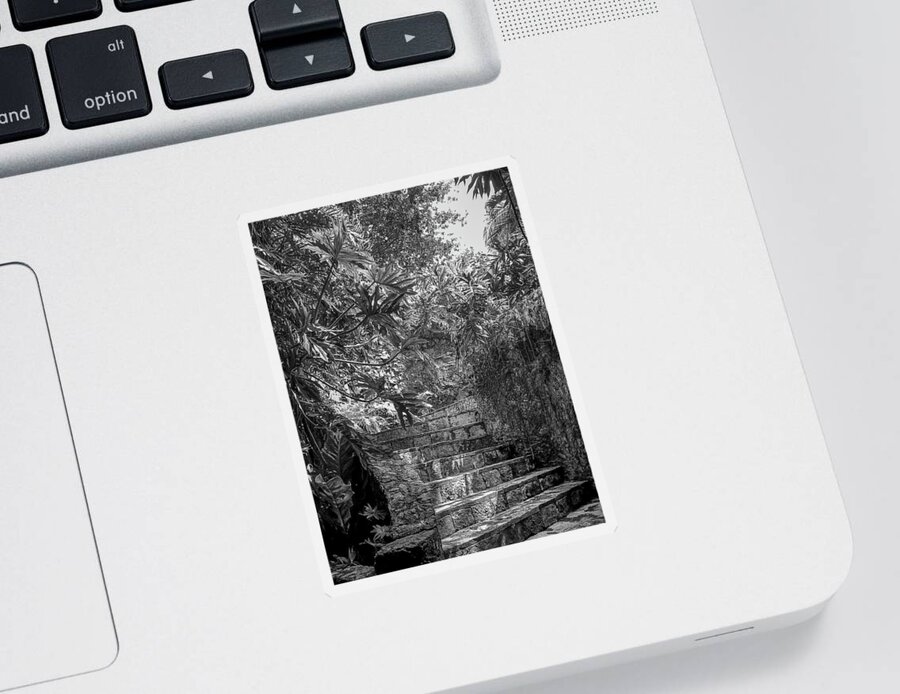 Chichen Itza Sticker featuring the photograph Steps Near Cenote Chichen Itza by Frank Mari