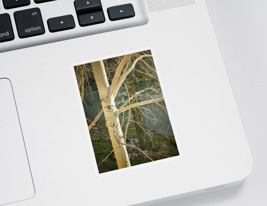 Tree Sticker featuring the photograph Stick Man by Mary Lee Dereske