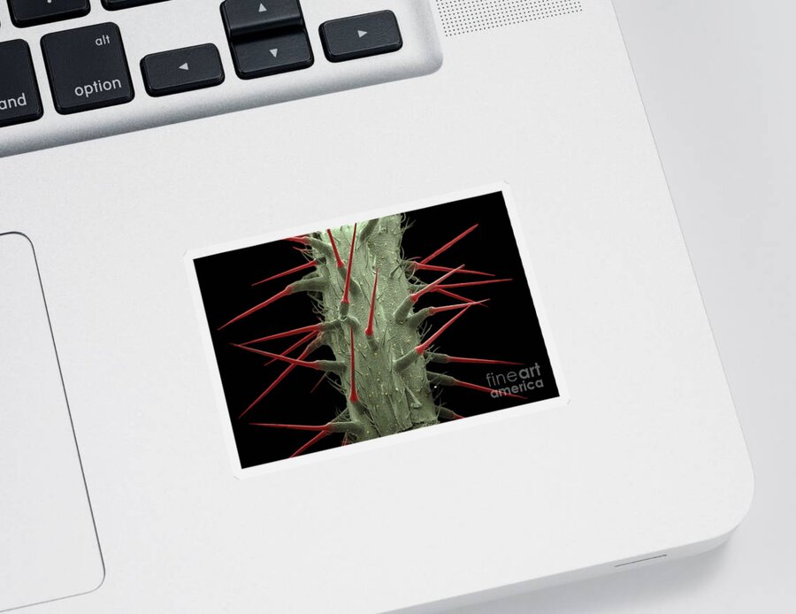 Alternative Medicine Sticker featuring the photograph Stinging Nettle SEM by Ted Kinsman