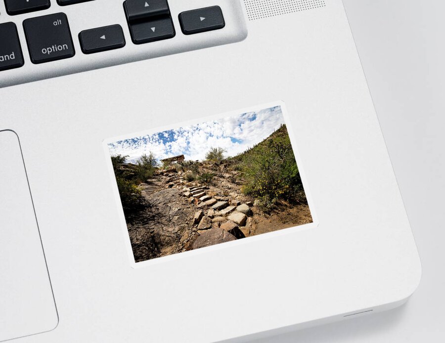 Canyon Sticker featuring the photograph Stone stairs to desert picnic oasis by Craig A Walker
