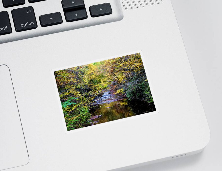 Fall Sticker featuring the photograph Stream in the Smoky Mountains Autumn Colors by Debra and Dave Vanderlaan