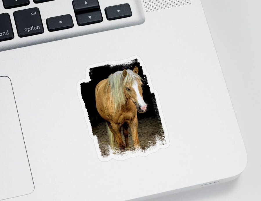 Sooty Palomino Sticker featuring the photograph Stunning Palomino by Elisabeth Lucas
