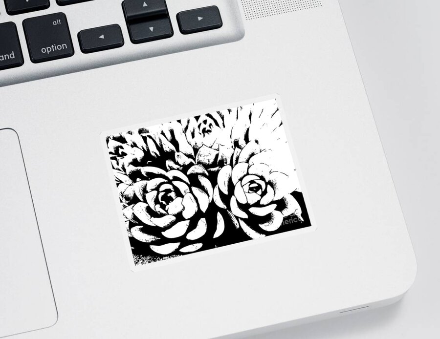 Succulents Sticker featuring the digital art Succulents 3 by Tracey Lee Cassin