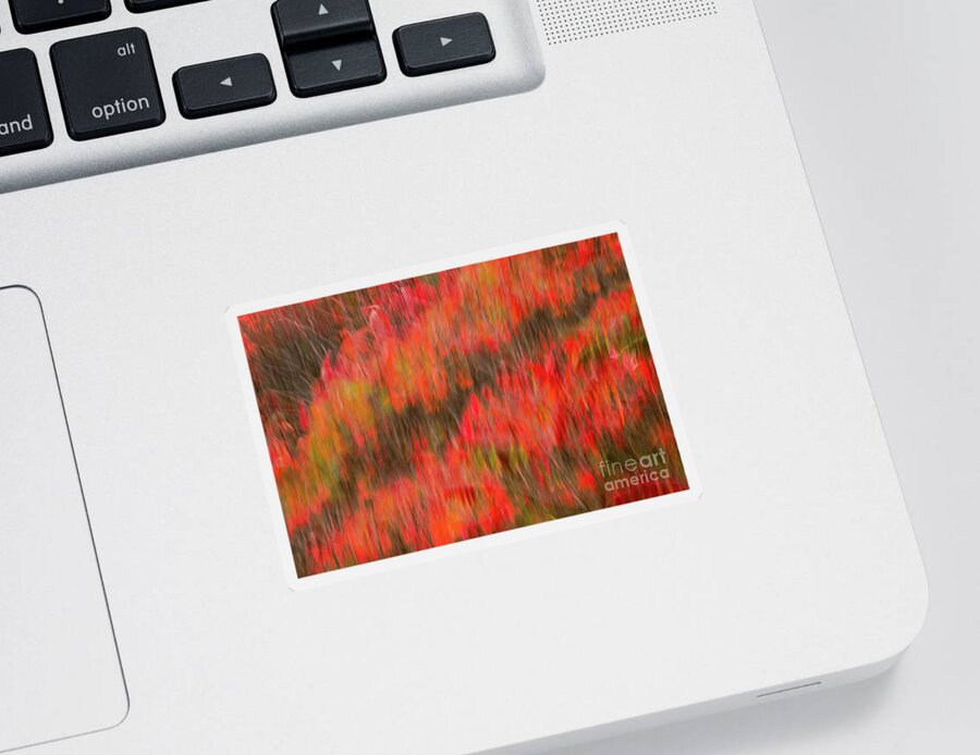 Autumn Colour Sticker featuring the photograph Sumacs on Fire by Marilyn Cornwell