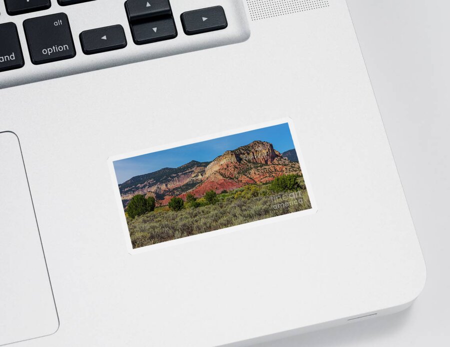 Landscape Sticker featuring the photograph Summer Greens by Seth Betterly