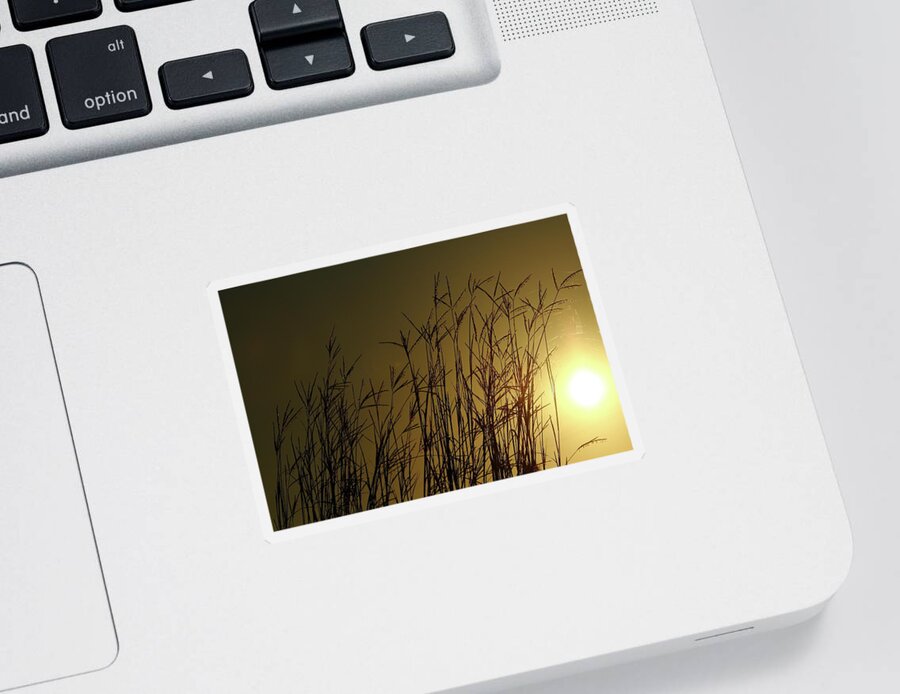 Field Sticker featuring the photograph Summer Sunrise by Lens Art Photography By Larry Trager