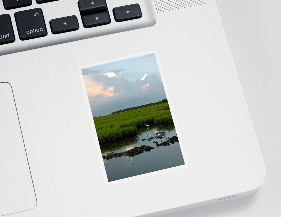 Egret Sticker featuring the photograph Summertime Marsh by Suzanne Gaff