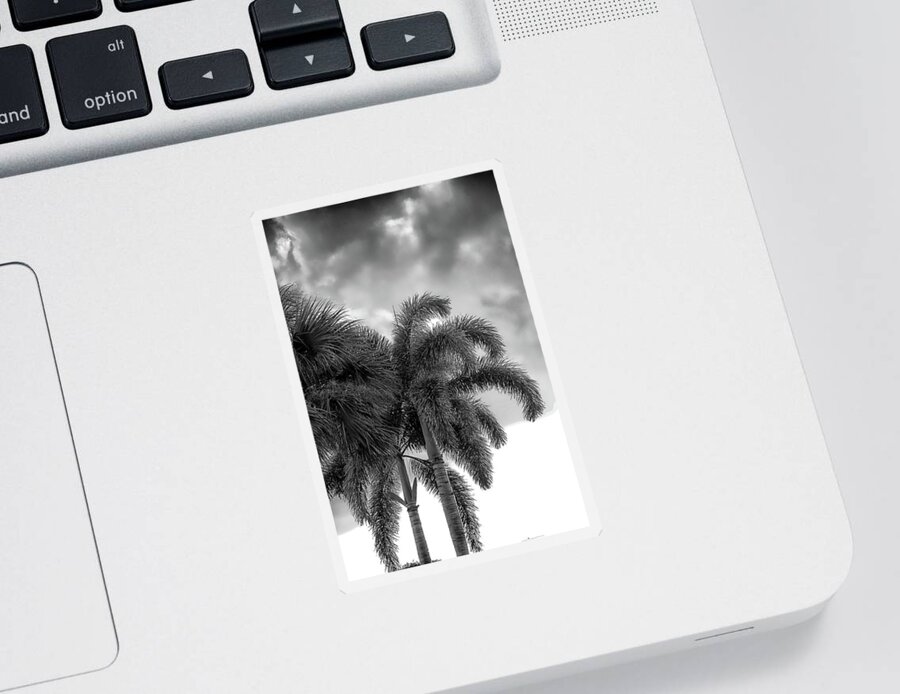 Palms Sticker featuring the photograph Sun and Clouds Behind Palms by Alan Goldberg