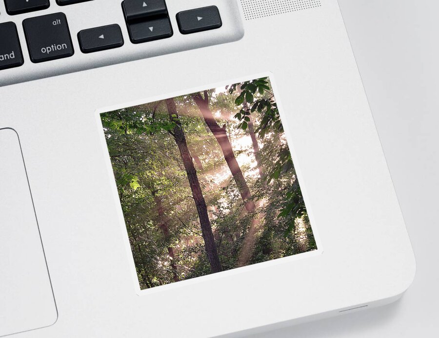 Trees Sticker featuring the digital art Sun Rays in Virginia by Nancy Olivia Hoffmann