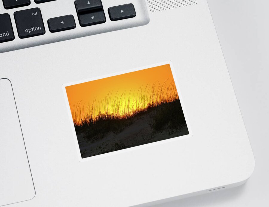 Beach Sticker featuring the photograph Sun Setting Behind Dunes by Scott Burd
