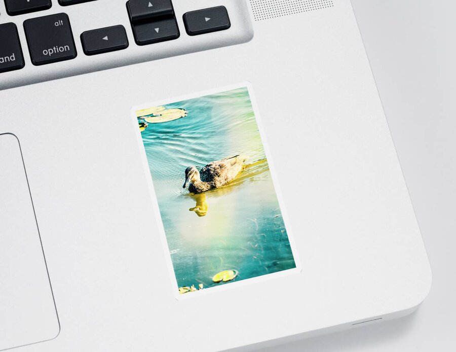 Duck Sticker featuring the photograph Sunflared duck lake by Jorgo Photography