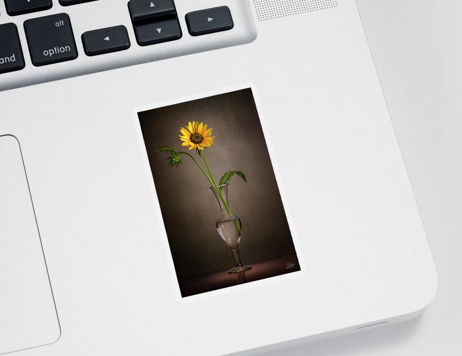 Sunflower. Wild Sunflower Sticker featuring the photograph Sunflower In A Glass Vase by Endre Balogh