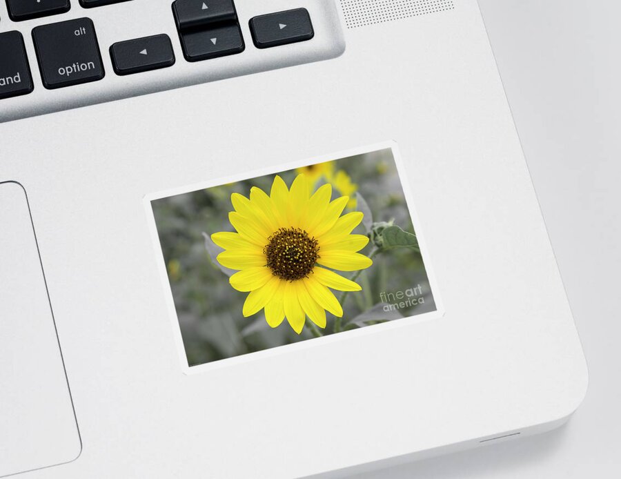 Floral Sticker featuring the photograph Sunflower Joy by Renee Spade Photography