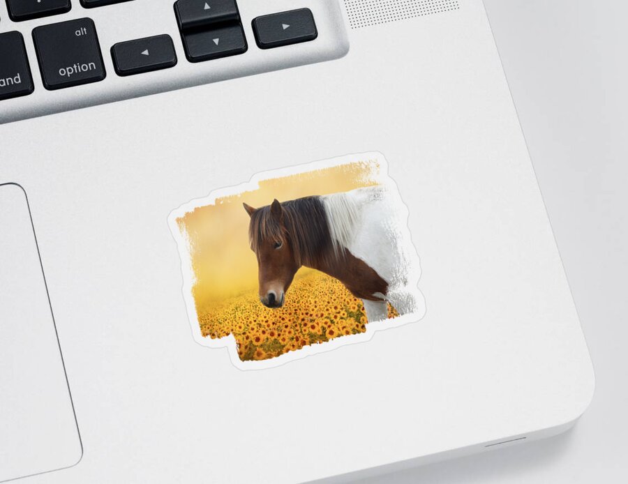 Pony Sticker featuring the photograph Sunflower Pony by Elisabeth Lucas