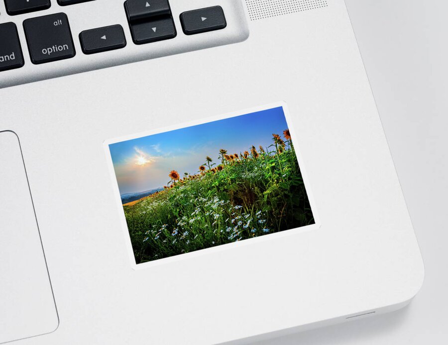 Sunflowers Sticker featuring the photograph Sunflowers a3943 by Greg Hartford