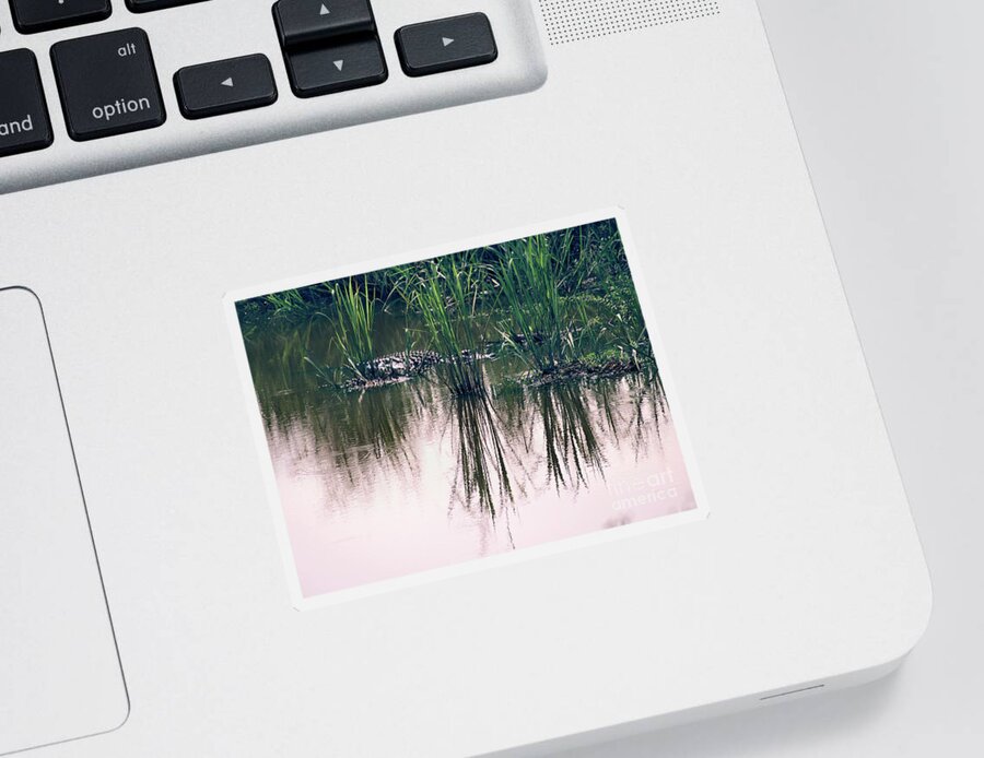 Alligator Sticker featuring the photograph Sunning Alligator I by Theresa Fairchild