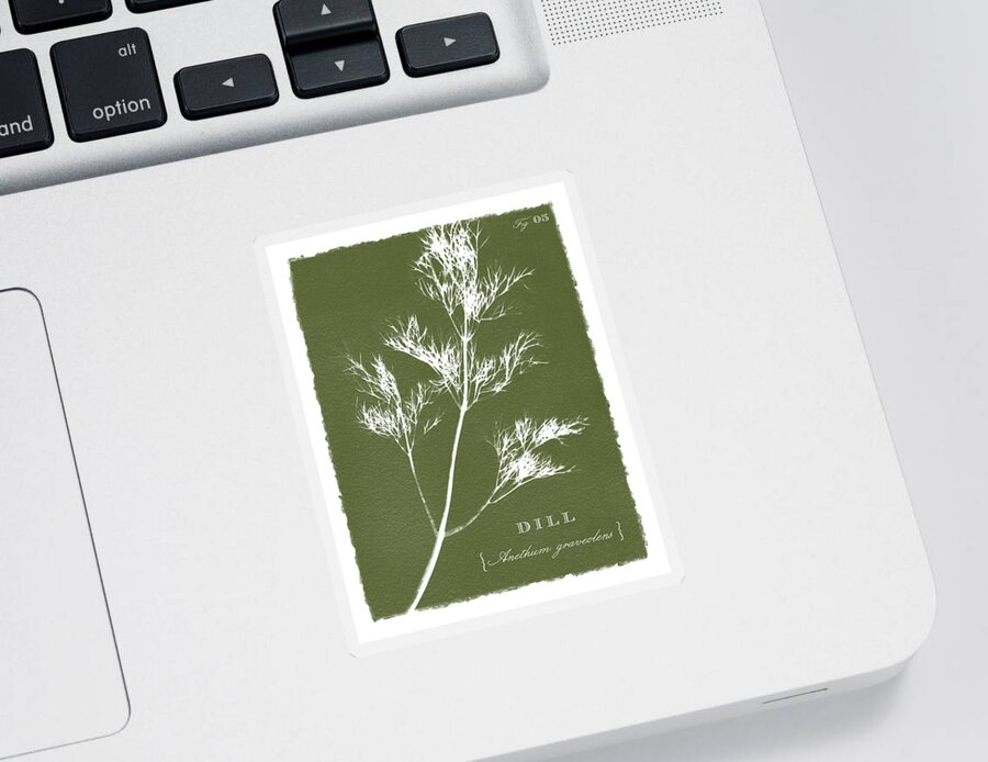 Olive Sticker featuring the painting Sunprinted Herbs in Green - Dill - Art by Jen Montgomery by Jen Montgomery