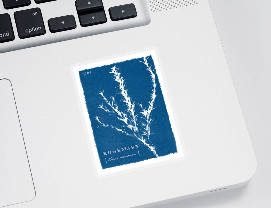 Blue Sticker featuring the painting Sunprinted Herbs in Indigo - Rosemary - Art by Jen Montgomery by Jen Montgomery