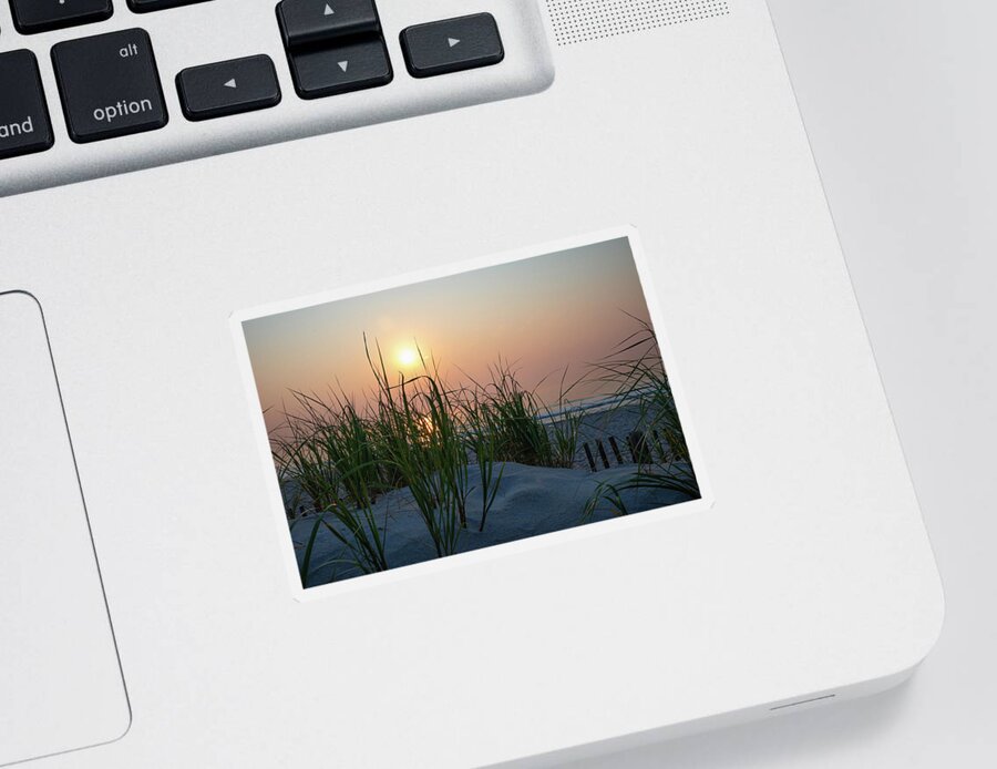 Beach Sticker featuring the photograph Sunrise behind the Dune Grass by Matthew DeGrushe