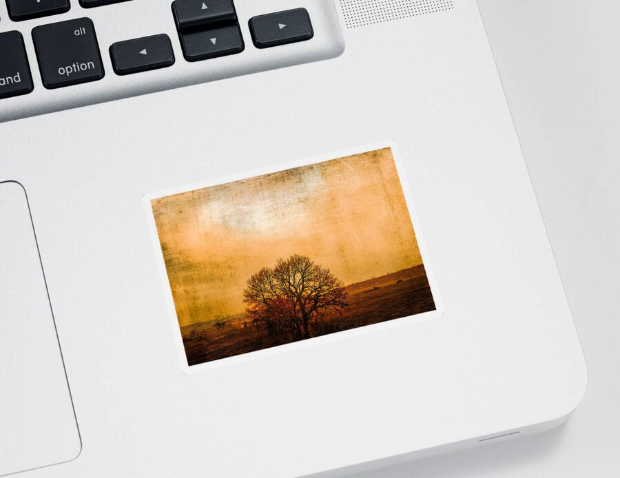 Nature Sticker featuring the photograph Sunset beauty by Yasmina Baggili