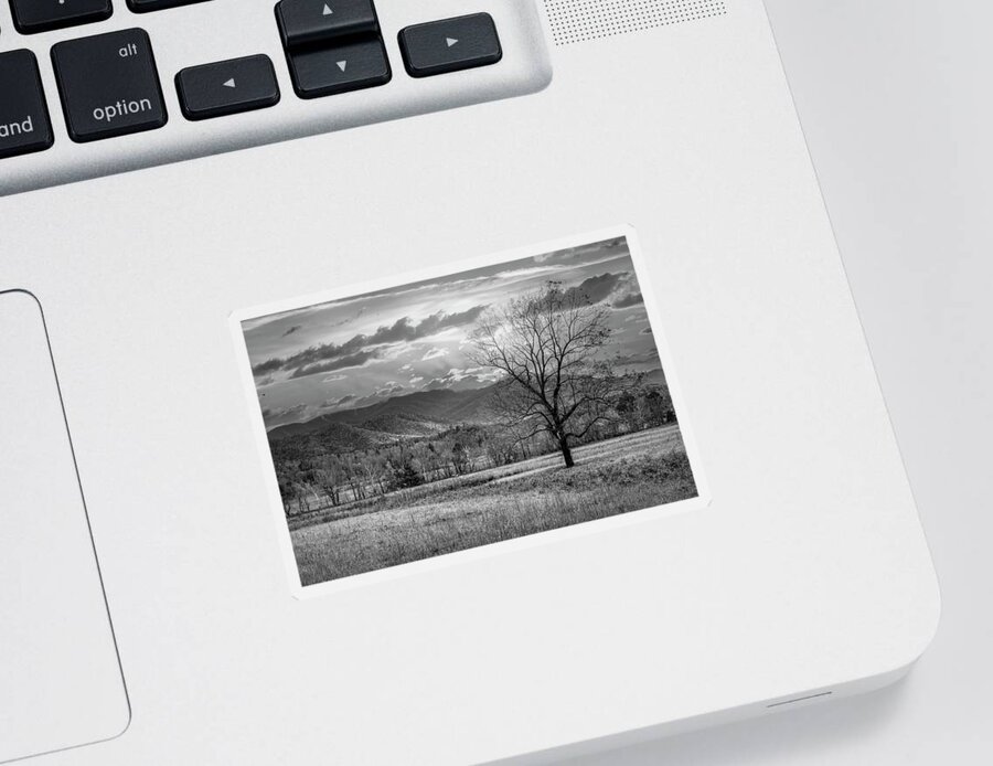 Tree Sticker featuring the photograph Sunset Clouds in Cades Cove Black and White by Debra and Dave Vanderlaan
