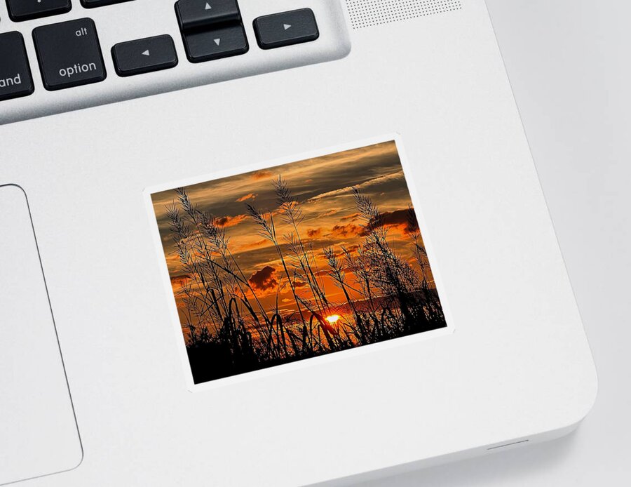  Sticker featuring the photograph Sunset in Corolla, NC by Stephen Dorton