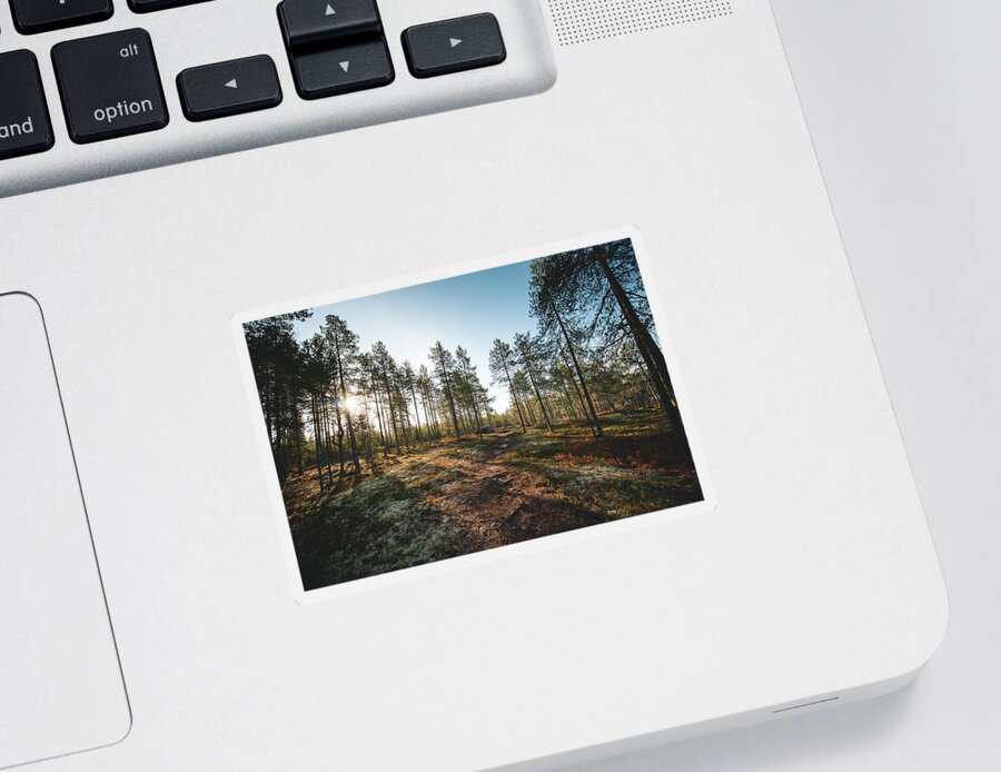 Outside Sticker featuring the photograph Sunset in the Finnish wilderness by Vaclav Sonnek