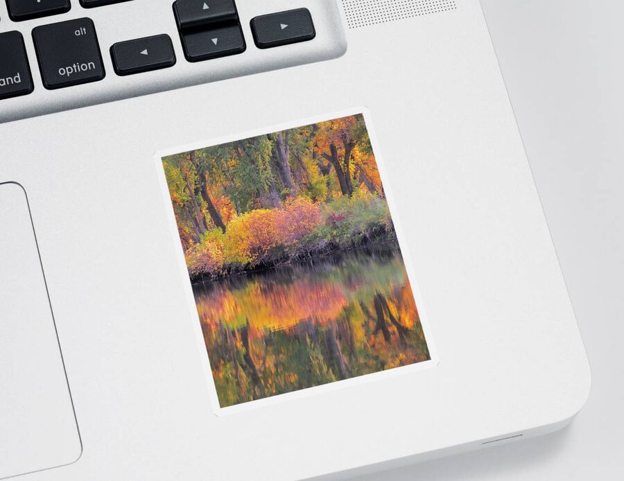Sunset Sticker featuring the photograph Sunset Reflections by Darren White