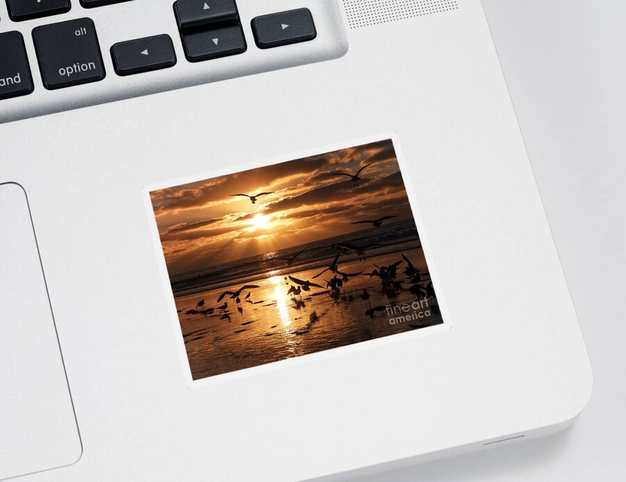 Seagulls Sticker featuring the photograph Sunset Seagull Party by Beth Myer Photography