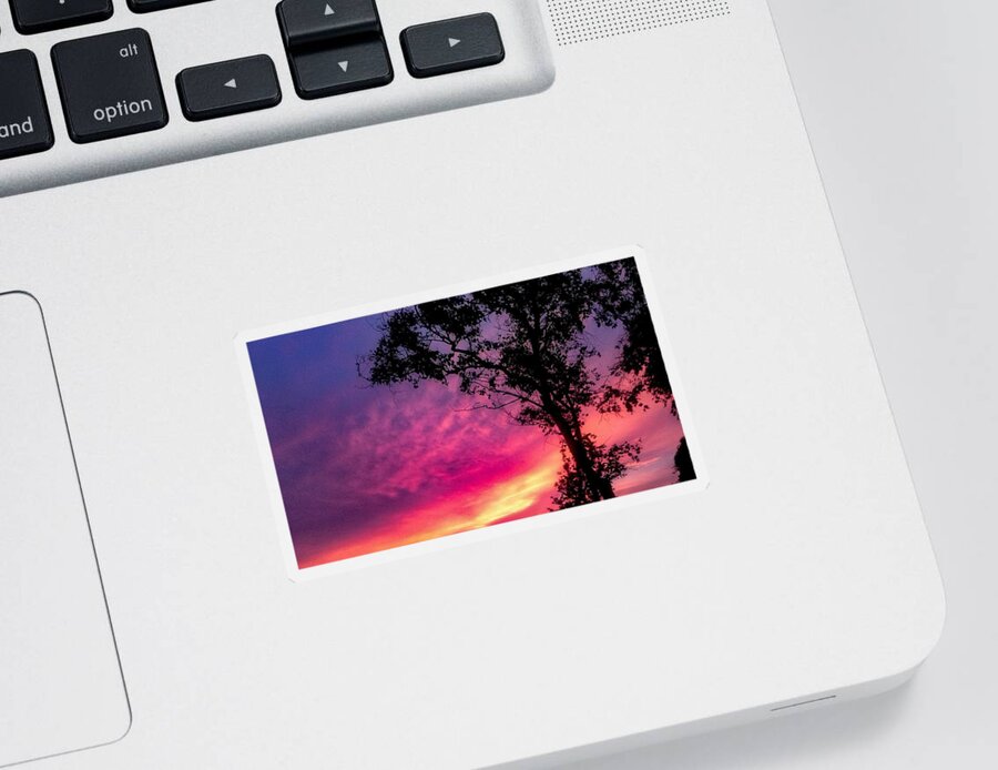 Sunset  Sticker featuring the photograph Sunset with a tree by Kelsea Peet