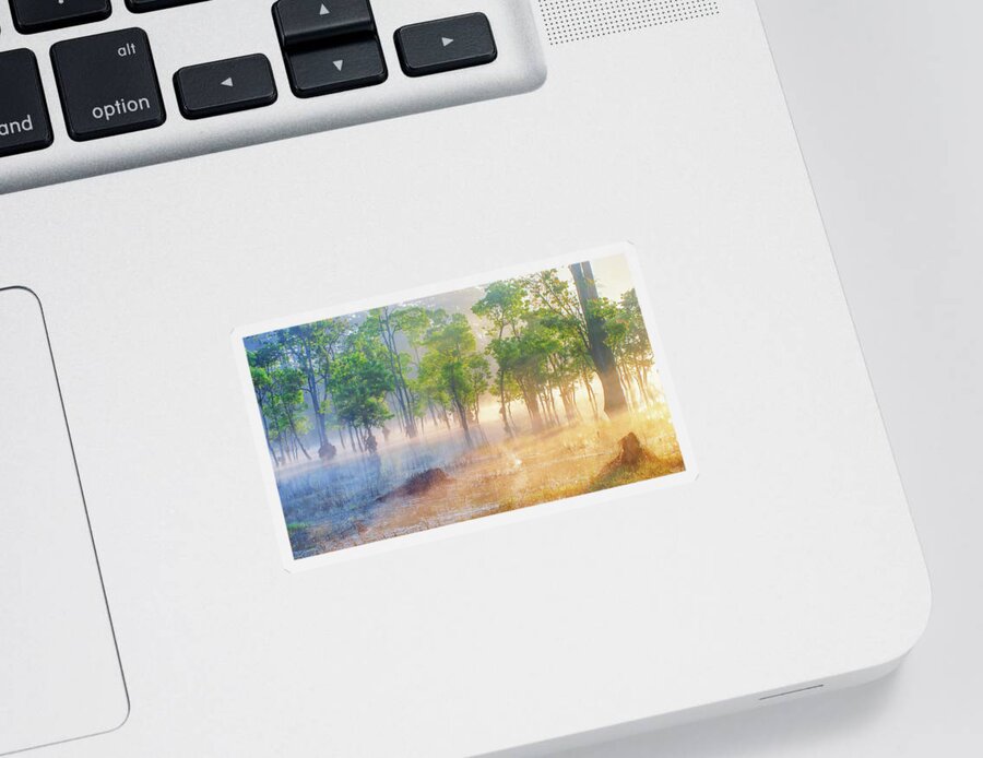 Awesome Sticker featuring the photograph Sunshine by Khanh Bui Phu
