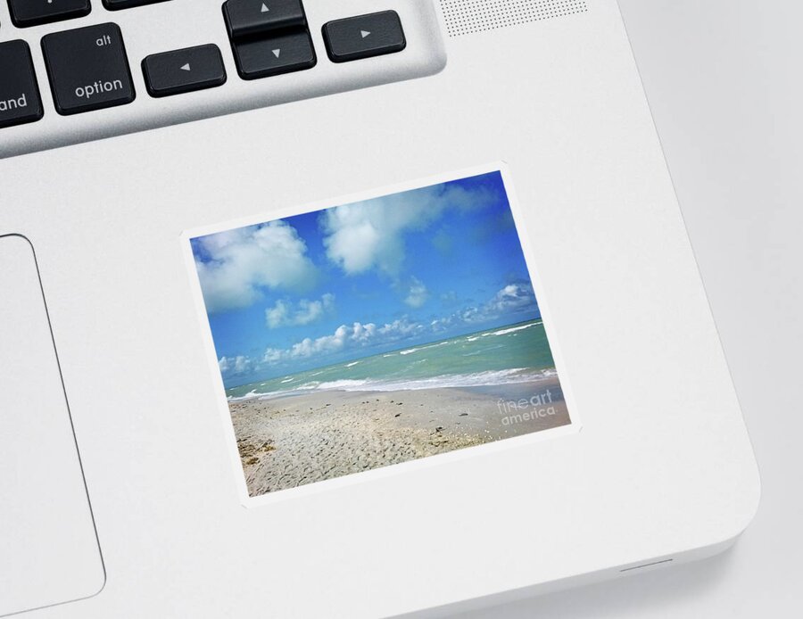 Florida Sticker featuring the photograph Surroundings - Florida Beach Day by Chris Andruskiewicz