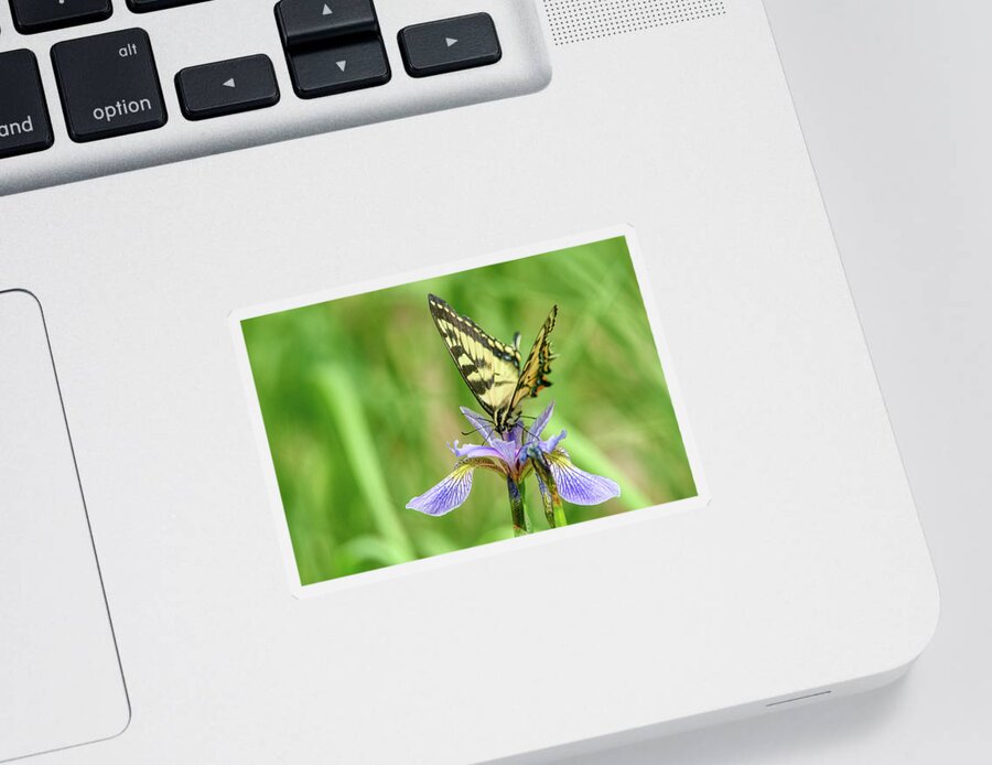 Butterfly Sticker featuring the photograph Swallowtail Butterfly by Paul Freidlund