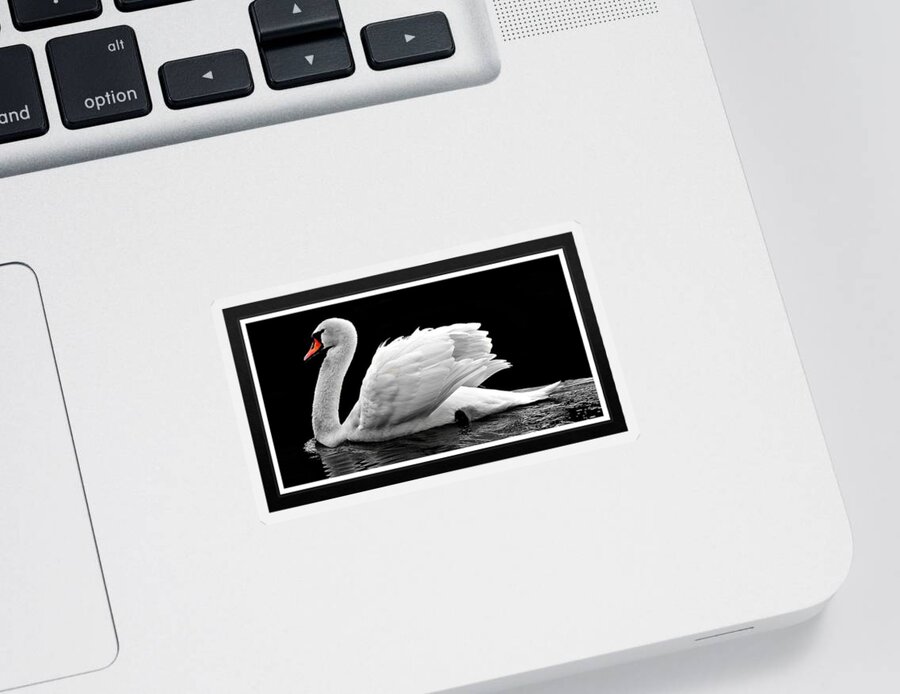 Swan Sticker featuring the photograph Swan Elegance by Nancy Ayanna Wyatt