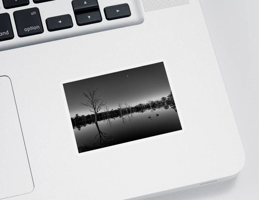 Landscape Sticker featuring the photograph First Date by Ari Rex