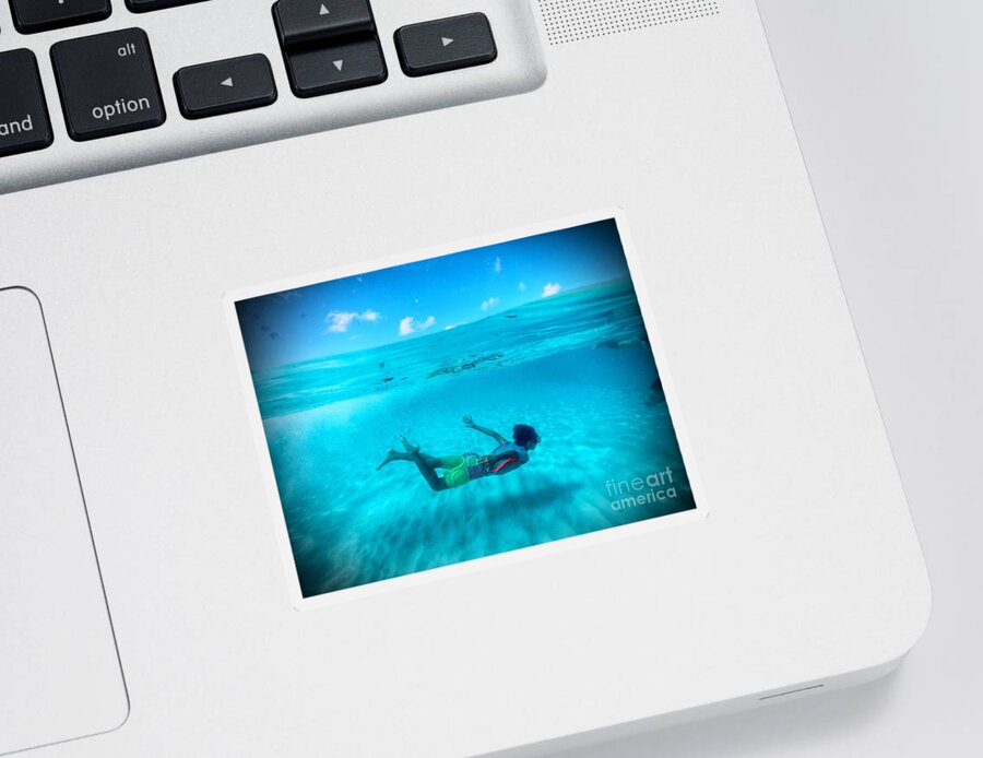 Grand Anse Beach Sticker featuring the photograph Swimming Free by Laura Forde