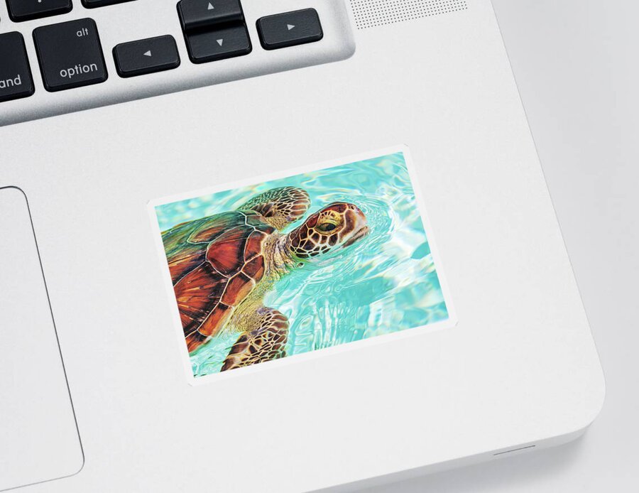 Turtle Sticker featuring the photograph Swimming turtle by Tatiana Travelways