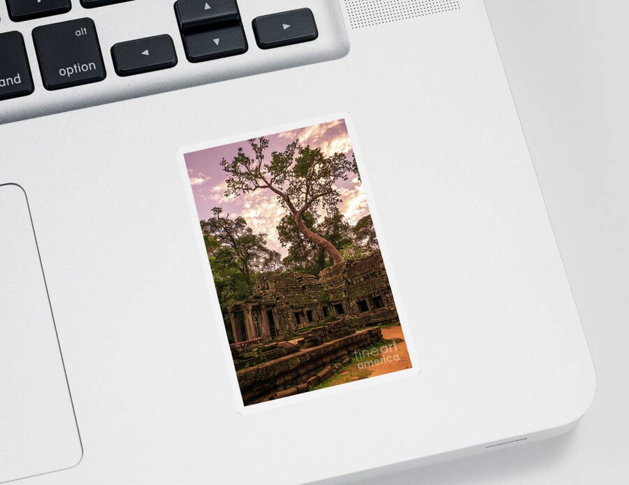 Cambodia Sticker featuring the photograph Ta Phrom Massive Tree by Mike Reid