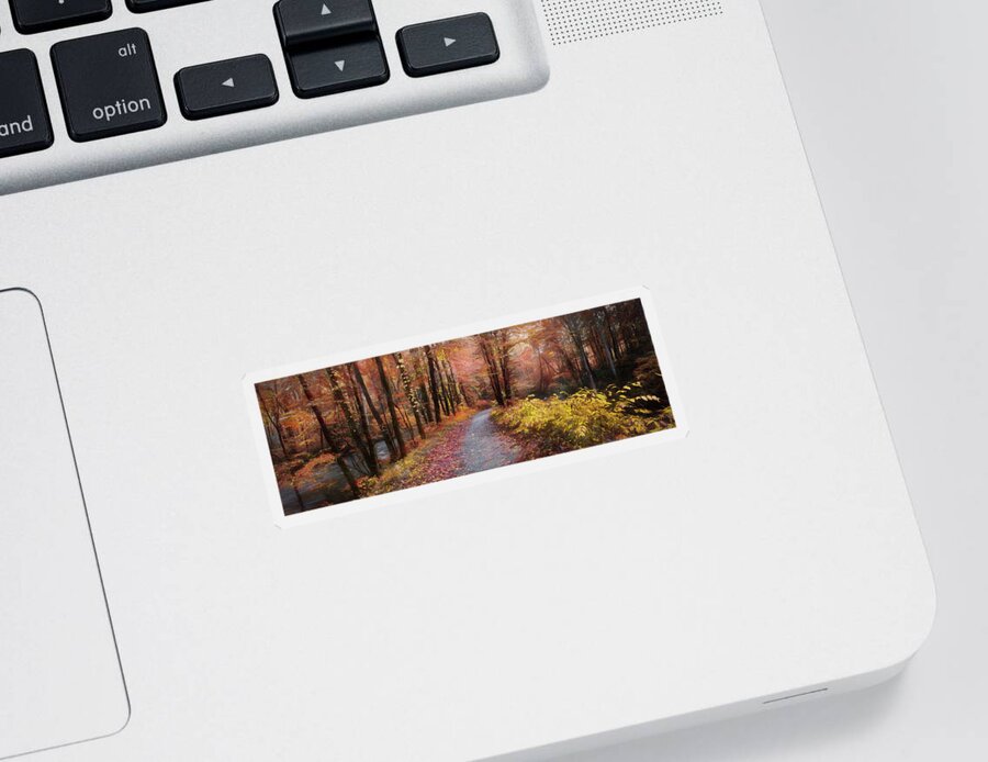 Trail Sticker featuring the photograph Take a Walk in the Woods Panorama Painting by Debra and Dave Vanderlaan