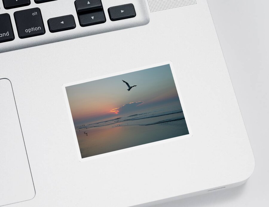 Taking Sticker featuring the photograph Taking Flight at Sunrise - Wildwood Crest New Jersey by Bill Cannon