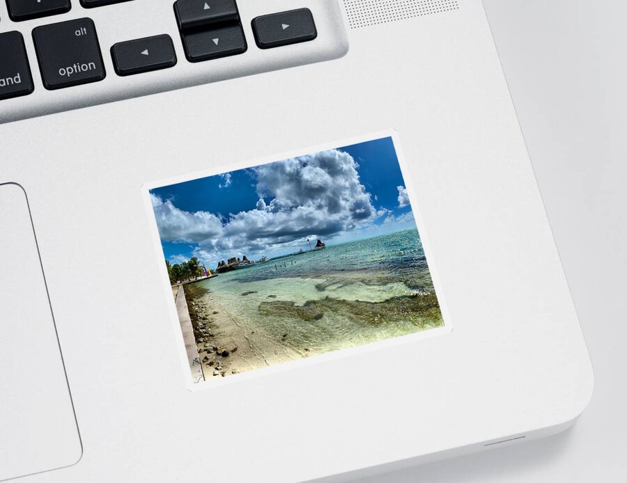 Caribbean Sticker featuring the photograph Tarpon Time by Devin Wilson