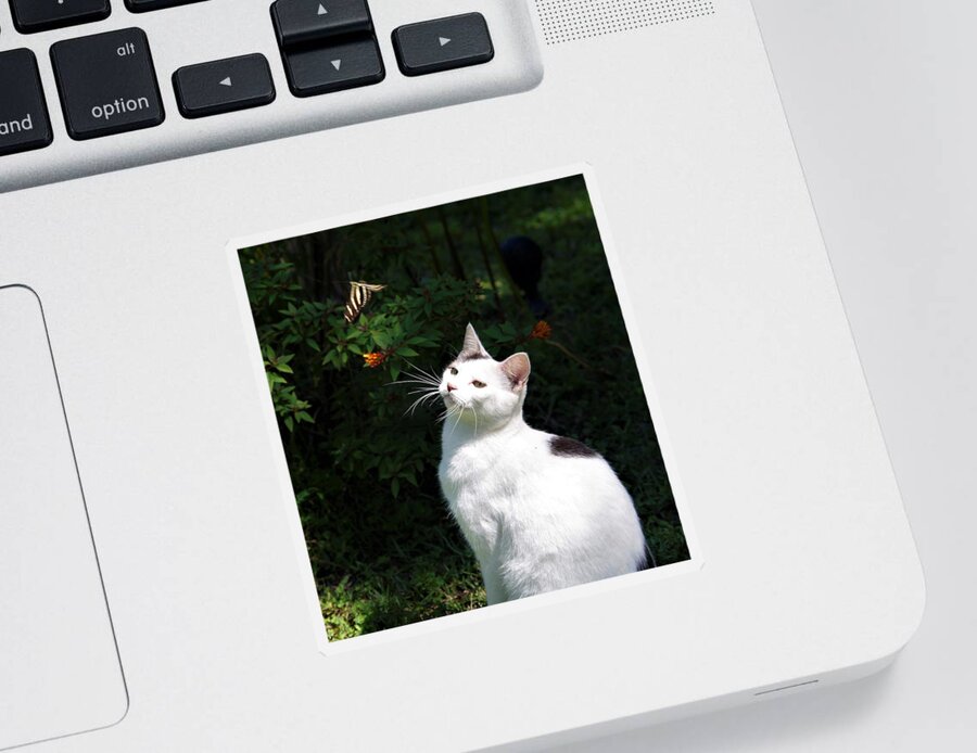 Cat Sticker featuring the photograph Tazz and Butterfly by Bess Carter