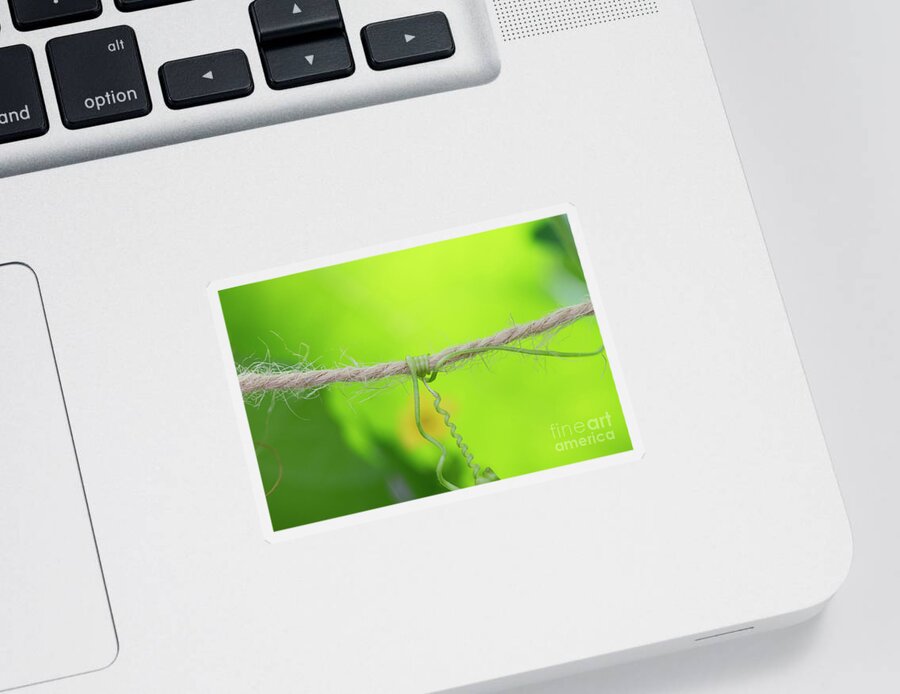 Tendril Sticker featuring the photograph Tendril and Twine by Tim Gainey