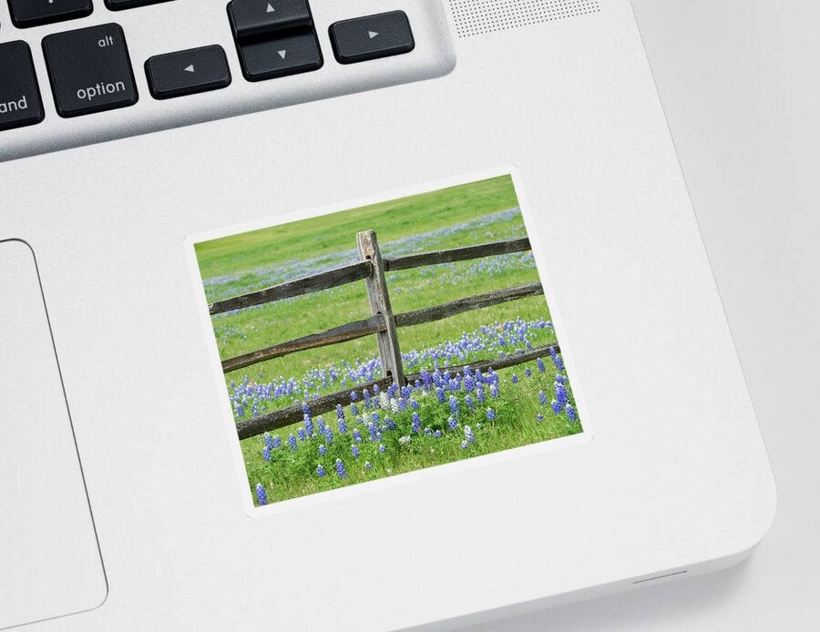 Ennis Sticker featuring the photograph Texas Bluebonnets Along Fence Line by Robert Bellomy