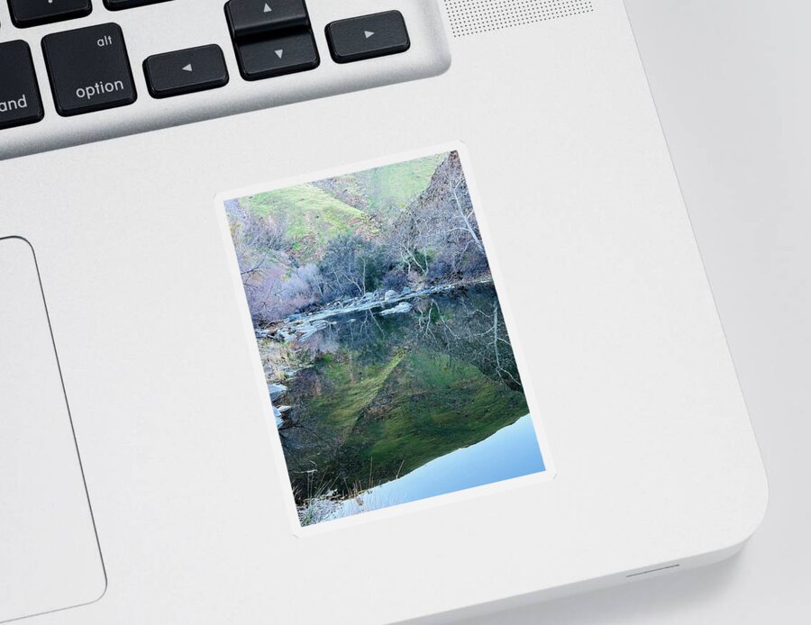 Pond Sticker featuring the photograph That Beautiful Day in February #1 by Cristina Leon