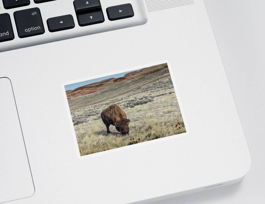 Wildlife Sticker featuring the photograph The American Bison by Laura Putman