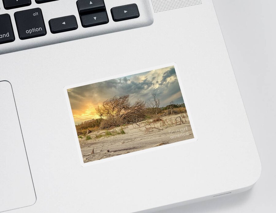 Scenic Sticker featuring the photograph The Burning Bush by Kathy Baccari