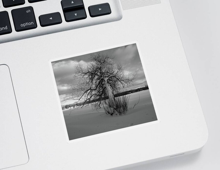 Snow Sticker featuring the photograph The calm after the storm by Carl Marceau