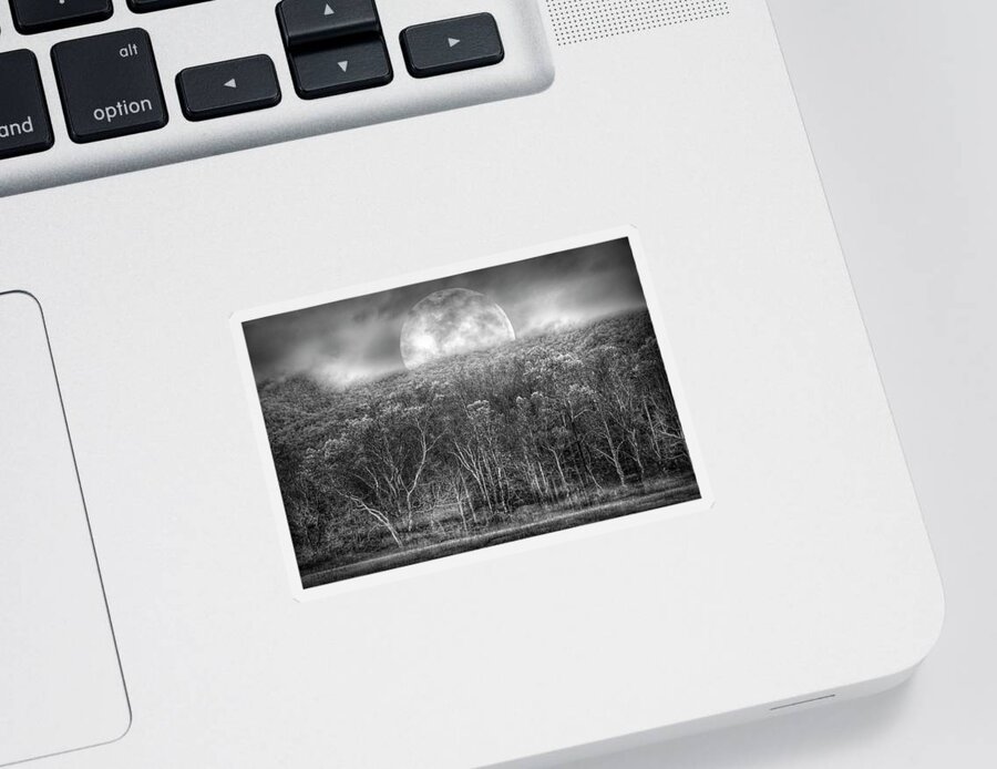 Cades Sticker featuring the photograph The Forest Awaits Under the Autumn Moon in Black and White by Debra and Dave Vanderlaan